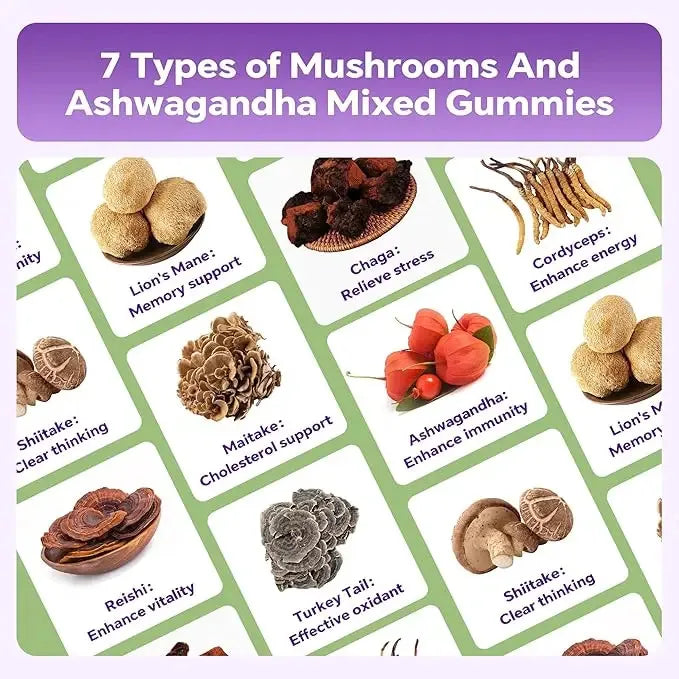 Mushroom Gummies Daily support to stay healthy